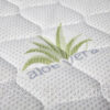 3237548225_aloe-vera-lha