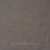 3237583234_17-hazelnut-dallas