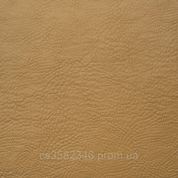 3237599683_diego-gold
